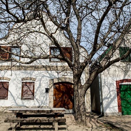 Hotel Berger Pince-Vendeghaz, Hajosi Pincek Exterior foto