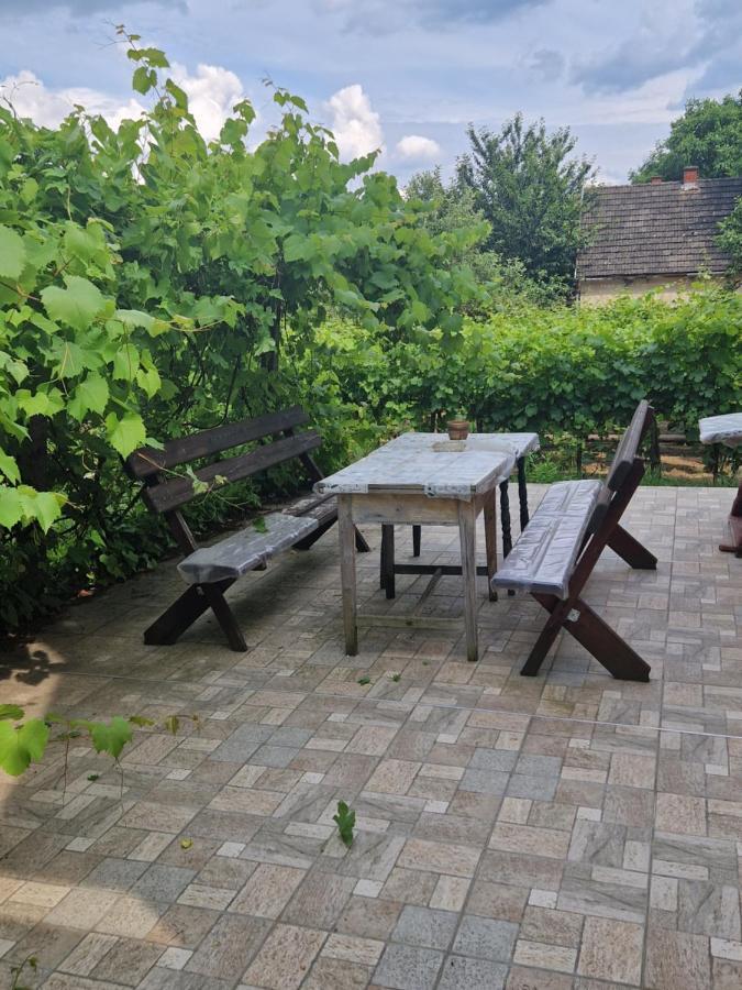 Hotel Berger Pince-Vendeghaz, Hajosi Pincek Exterior foto